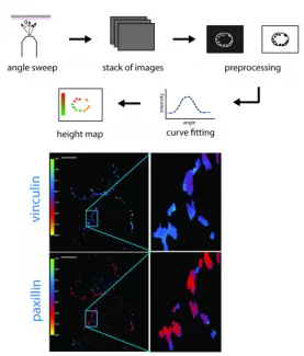 Weaver Lab News