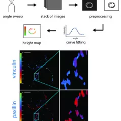 Weaver Lab News